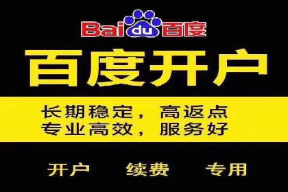 百度SEO推广公司案例汇编：实战优化策略全解析