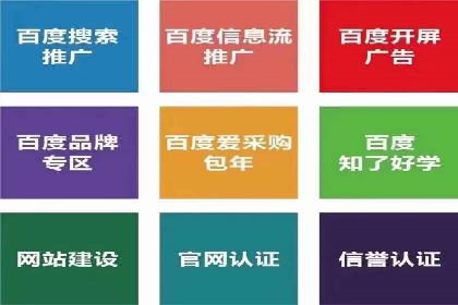 信息流广告代理项目案例分析